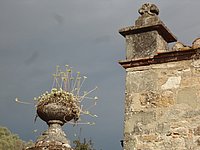DSC02052.JPG