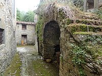 DSC02061.JPG