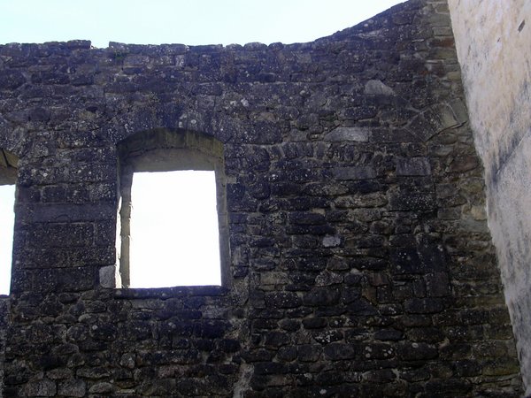 DSCN0556.JPG