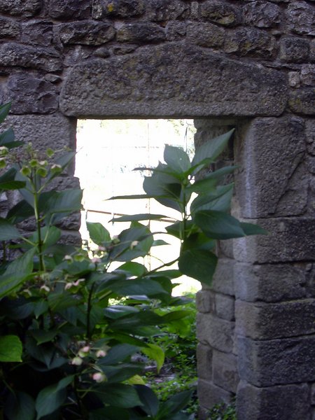 DSCN0557.JPG