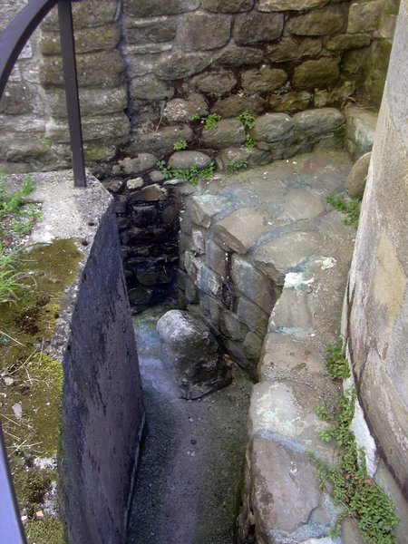 DSCN0575.JPG