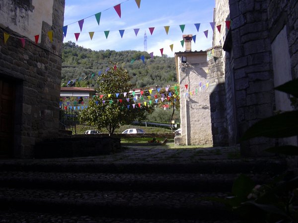 DSCN0596.JPG