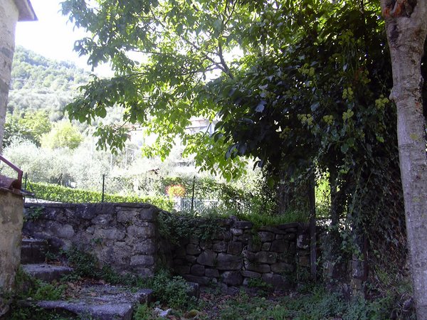 DSCN0602.JPG