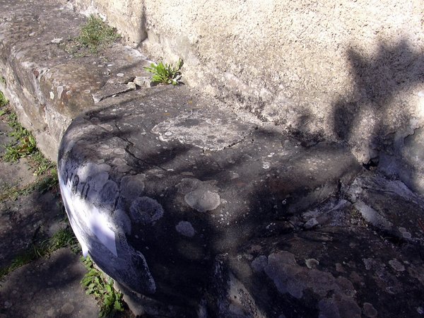 DSCN0613.JPG