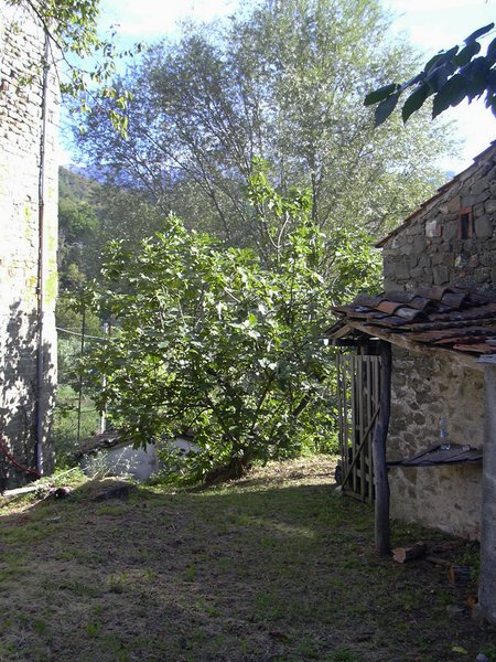 DSCN0619.JPG