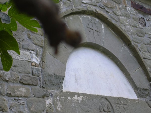 DSCN2331.jpg