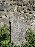 DSC06648.JPG