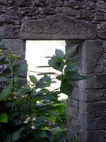 DSCN0557.JPG