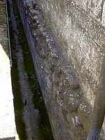 DSCN0571.JPG