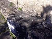 DSCN0613.JPG