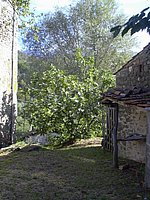 DSCN0619.JPG