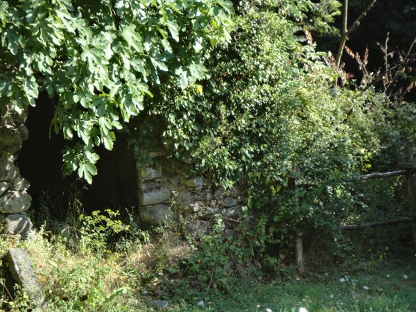 DSC02260.JPG