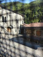 DSC02211.JPG