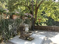 DSC02219.JPG
