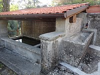 DSC02233.JPG