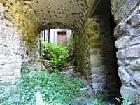 DSC02248.JPG