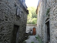 DSC02250.JPG