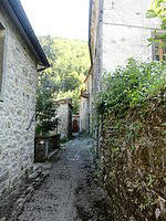 DSC02251.JPG