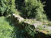 DSC02258.JPG