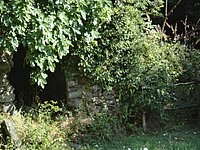 DSC02260.JPG