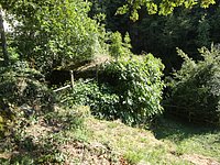 DSC02261.JPG
