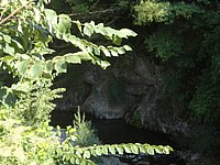 DSC02264.JPG