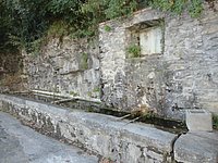 DSC02274.JPG