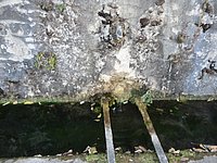 DSC02275.JPG