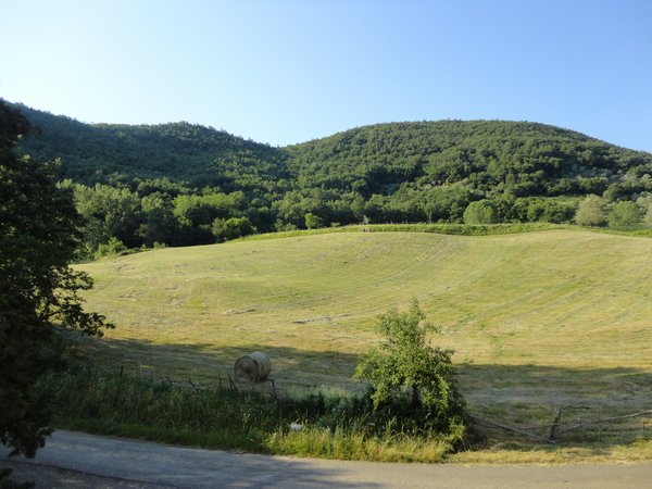 DSC08295.JPG