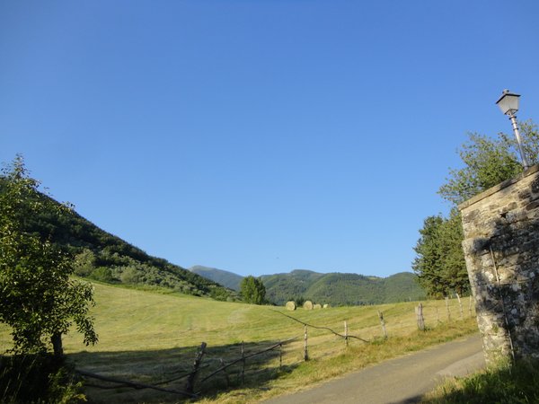 DSC08296.JPG