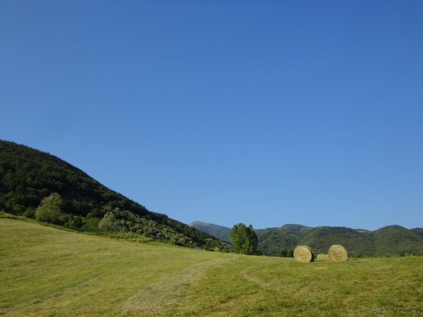 DSC08305.JPG
