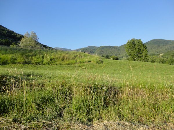 DSC08310.JPG