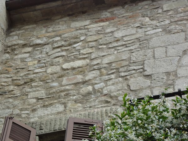 DSC08346.JPG