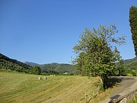 DSC08288.JPG
