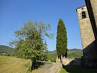 DSC08289.JPG