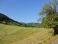 DSC08290.JPG
