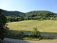 DSC08295.JPG