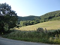 DSC08297.JPG