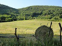 DSC08302.JPG