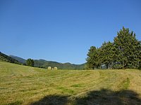 DSC08304.JPG