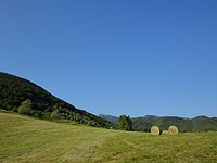 DSC08305.JPG
