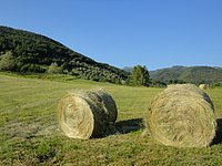 DSC08306.JPG