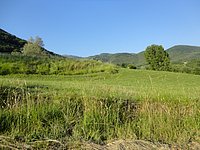 DSC08310.JPG