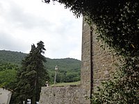 DSC08339.JPG
