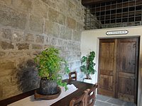 DSC08340.JPG