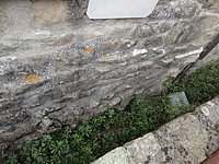 DSC08376.JPG
