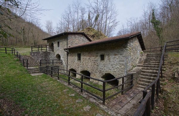 DSC00893 (2).jpg