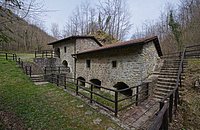 DSC00893 (2).jpg