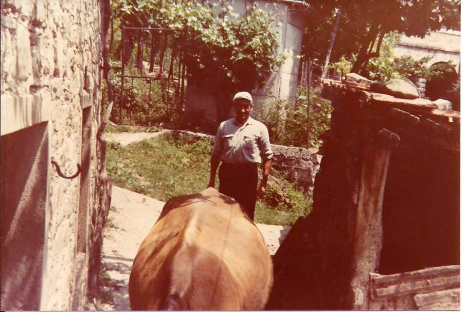 Stalla di Salvatore Torre