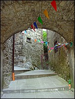 DSC00015.JPG